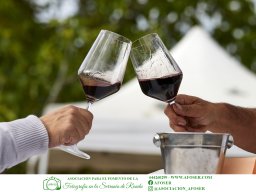 Festival Mar de Tethys 2026 - Bodega Vetas